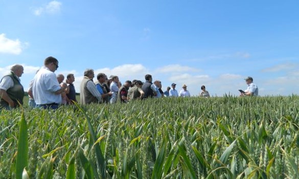 a group of people in a field
